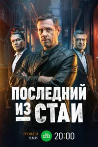 Последний из стаи онлайн